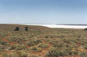 Salzsee im Outback zwischen Port Augusta und Glendambo